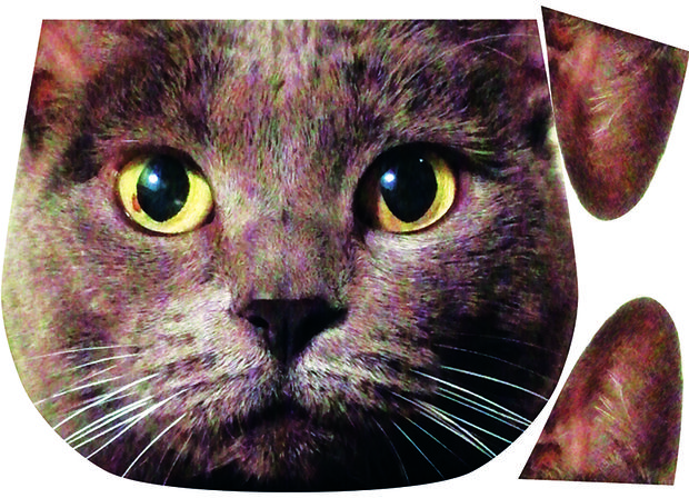 ����������� �� ����� ����� ����������� ������� (��� ����� ��� ���� ��������)